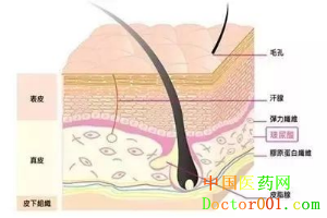 QQ��ͼ20181123134814.png