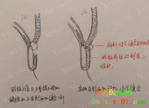 QQ��ͼ20181124091452.png