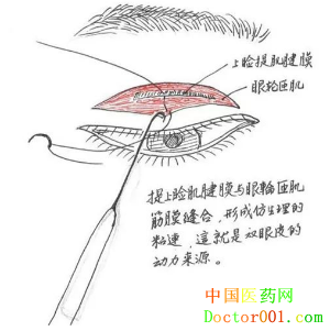 QQ��ͼ20181124091433.png