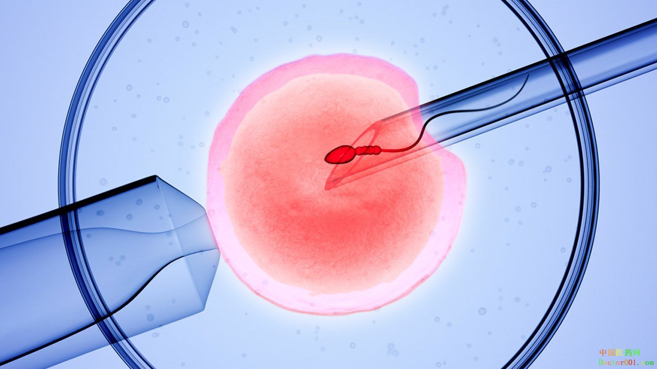 1552374440513746.jpg IN_VITRO-1296x728-header.jpg