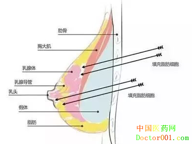1557023004425906.png 9.png