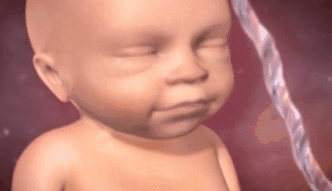 ΢��ͼƬ_20181231161602.gif