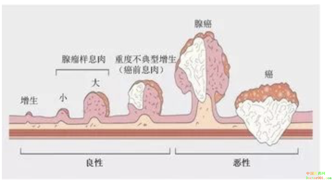 1559919863406583.png image.png