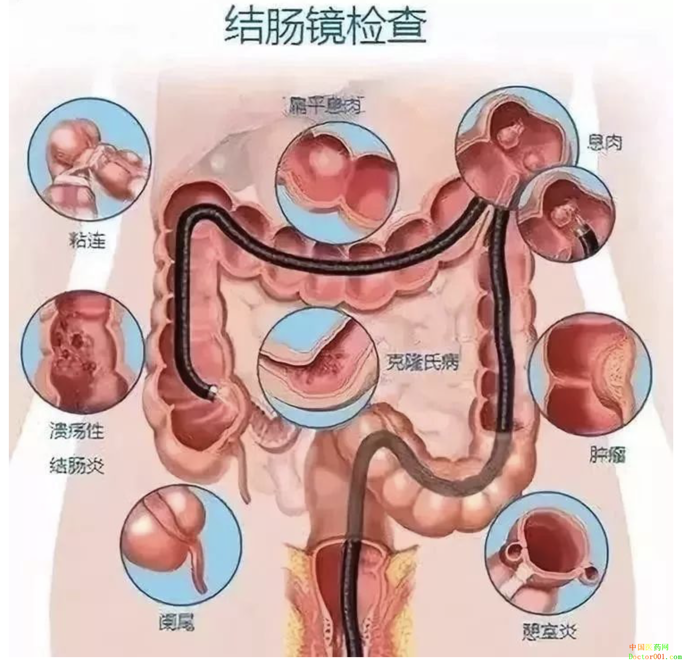 1559919895342582.png image.png