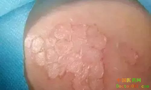 6640.webp.jpg