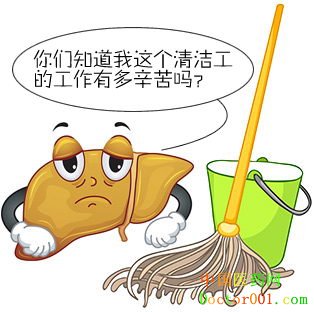 �ܾ����Ρ��ţ�������ƬֻΪ���õ���