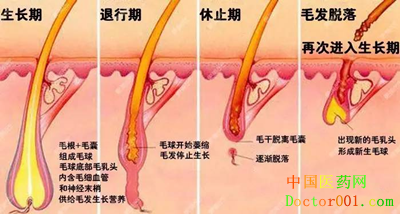 2e7125e4e6474d41a7895a199b0bec1d_����_����.png